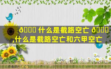 🐅 什么是截路空亡 🐕 ,什么是截路空亡和六甲空亡